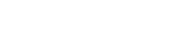 Our services